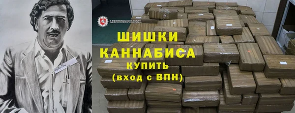 PSILOCYBIN Верхний Тагил