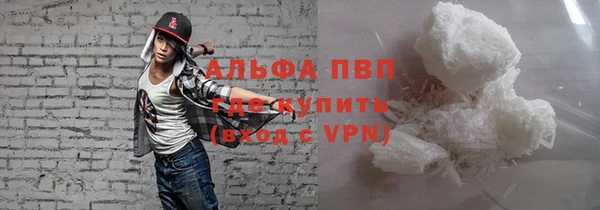 PSILOCYBIN Верхний Тагил