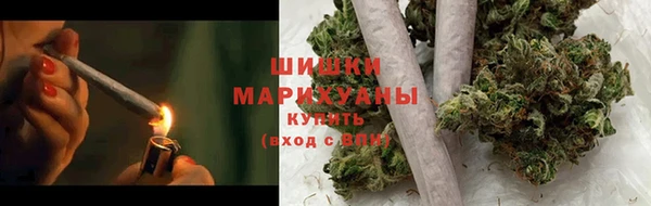 ПСИЛОЦИБИНОВЫЕ ГРИБЫ Верхнеуральск