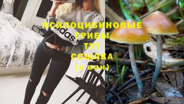 мет Верея
