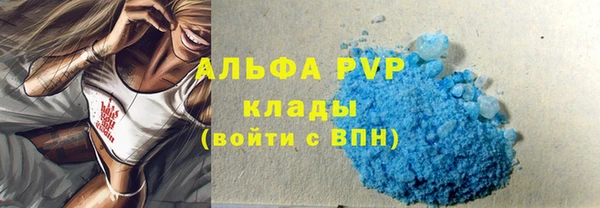 PSILOCYBIN Верхний Тагил